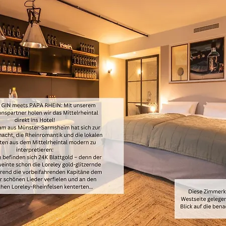 Hotel Papa Rhein - & *