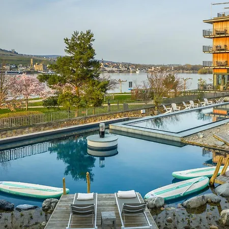 Hotel Papa Rhein - & 3*