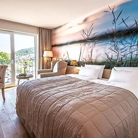 Papa Rhein - & Hotel Bingen am Rhein